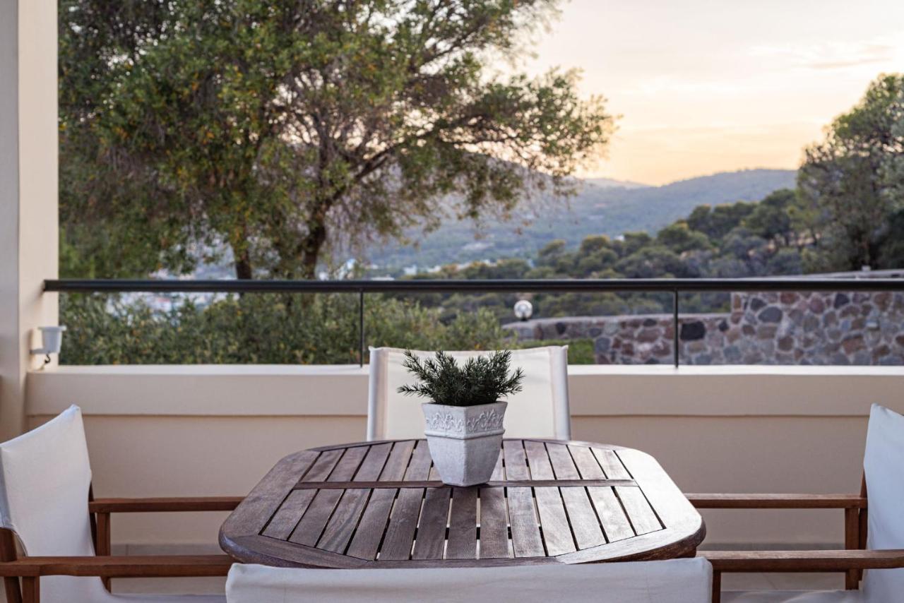 Aphaia Villa & Residences Aegina Ajía Marína Kültér fotó